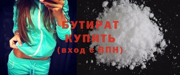 индика Новозыбков