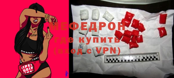 индика Новозыбков