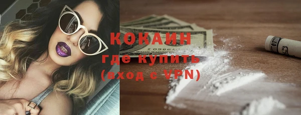 индика Новозыбков