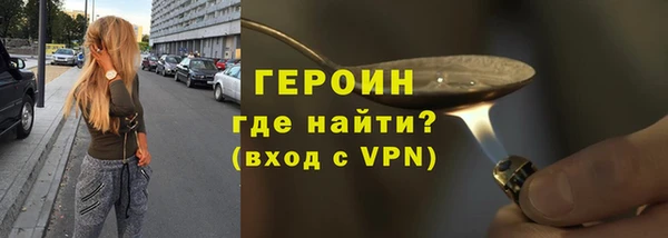 индика Новозыбков