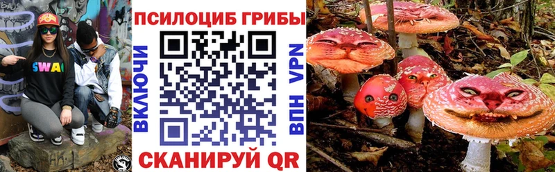 ссылка на мегу рабочий сайт Алзамай Галлюциногенные грибы мицелий